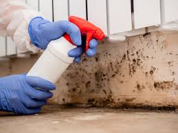 Reliable Nashville, IN Mold Remediation Solutions